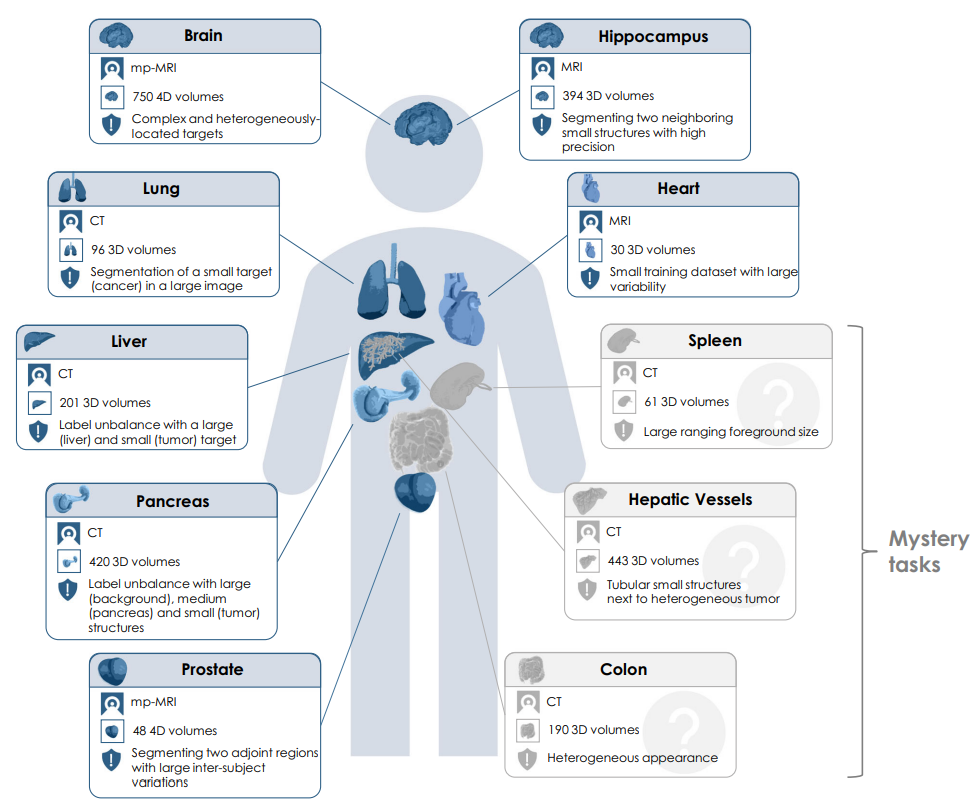 Medical Segmentation Decathlon dataset overview showing the organs and tasks covered