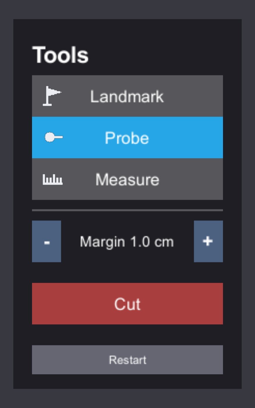 The tool menu with Probe selected and the margin set to 1.0 cm